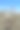 杜鹃花-约书亚树np - 021720 d图片下载