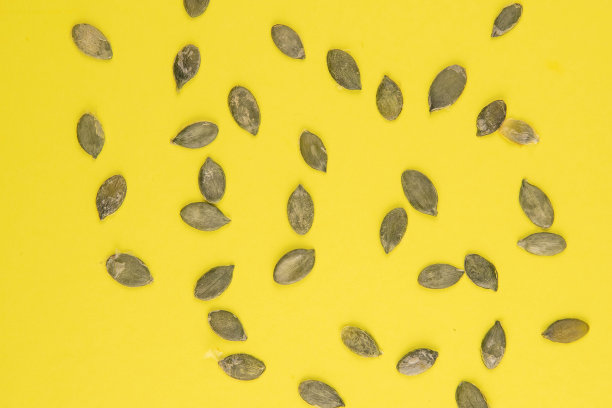 黄色背景上的南瓜子图片下载