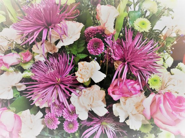 美丽的粉红色和紫色鲜花插花近图片下载