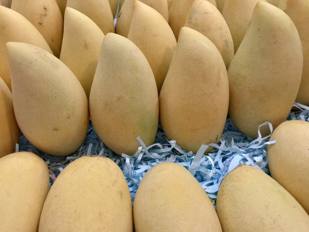 成堆的成熟芒果在市场上出售图片下载