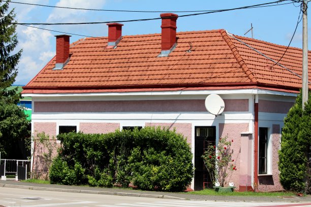 完全翻新的小郊区家庭住宅的新立面和屋顶瓦片周围的花园植物和电线图片下载