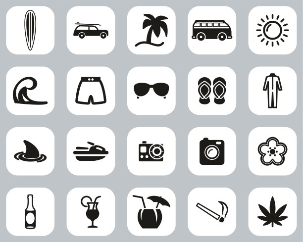 冲浪运动和生活方式图标黑&白平面设计设置大图片下载