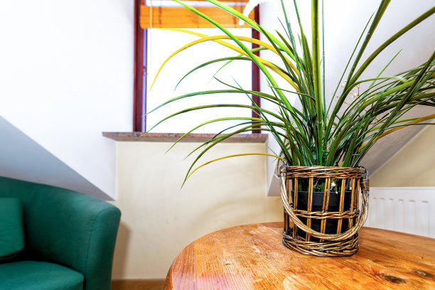 在阁楼窗户的特写与桌子和盆栽植物在卧室，家庭公寓酒店房间和没有人图片下载