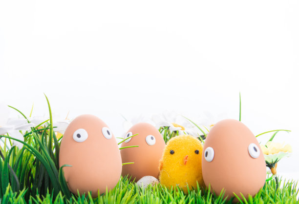快乐复活节彩蛋排成一排在春天的草与花在一个孤立的白色背景上，框架，边框，彩蛋字符与有趣的眼睛，快乐复活节概念，复活节主题，鸡，明信片，图片下载