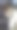 狗在家睡觉的特写镜头图片下载