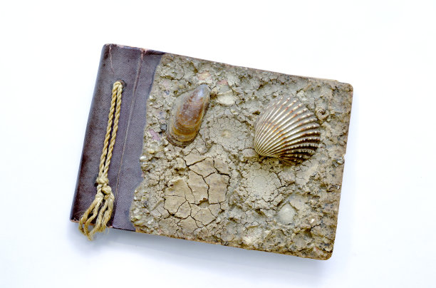 真正的复古封面的相册与海贝壳图片下载