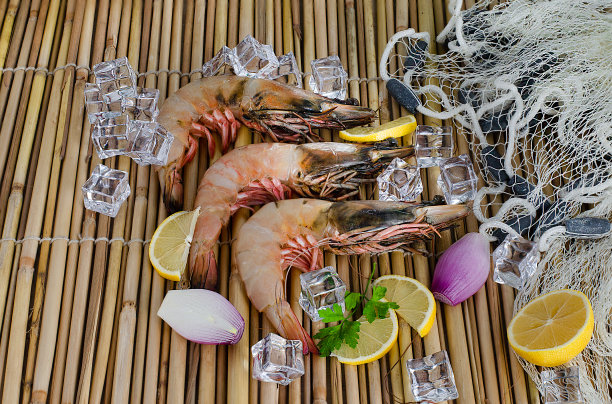 当日捕获的虾图片下载