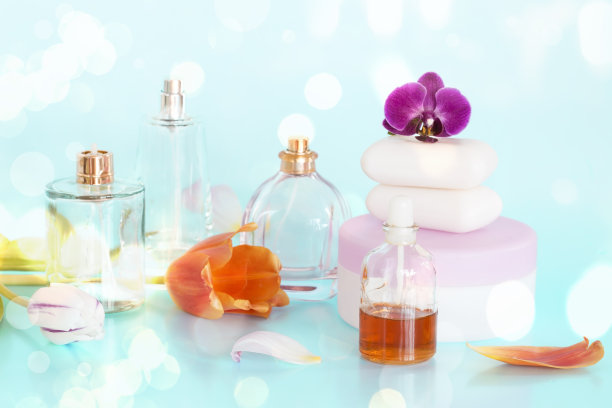 美丽的安排图片下载