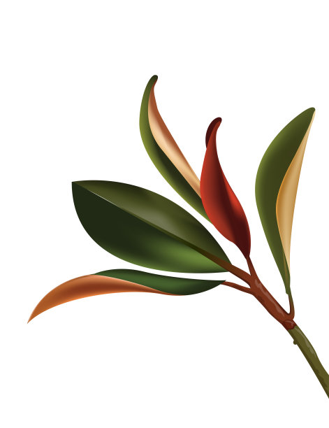 弹簧片图片下载