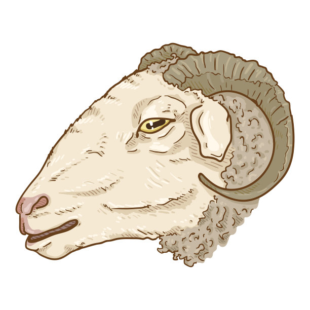 矢量卡通Ram头插图。图片下载