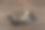 焦糖酱芝士蛋糕的切片照片图片下载