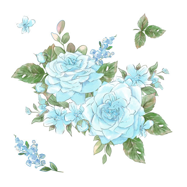 一大批娇嫩的玫瑰水彩画品质超群。图片下载