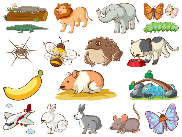 有许多种类的动物和昆虫的大型野生动物图片下载