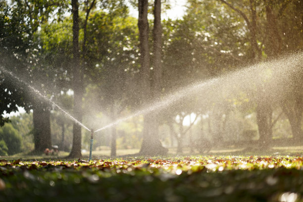 洒水器在绿色草地上浇水。节水系统概念图片下载