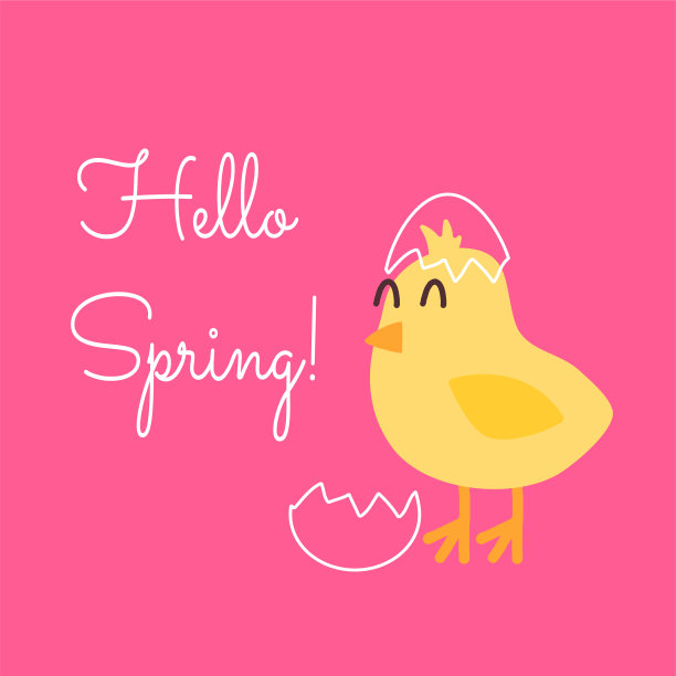 矢量方形贺卡与黄色内壳鸡在粉红色的背景。新生命的到来，迎接春天的到来，觉醒的概念。信你好春天手绘。图片下载