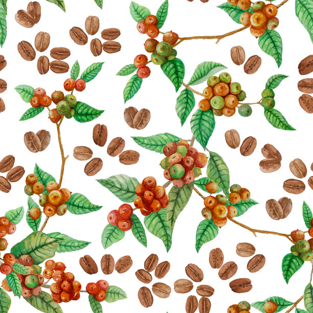 无缝重复图案的红色成熟的咖啡水果树枝，棕色的咖啡豆种子和绿色的叶子插图，水彩手绘孤立的剪切路径上的白色背景，织物织物或壁纸的元素图片下载