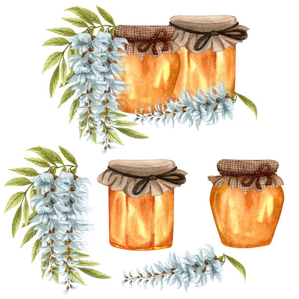 水彩画的金合欢蜂蜜在白色的背景。手绘集白金合欢/紫藤花，蜂蜜罐和桶。素材图片