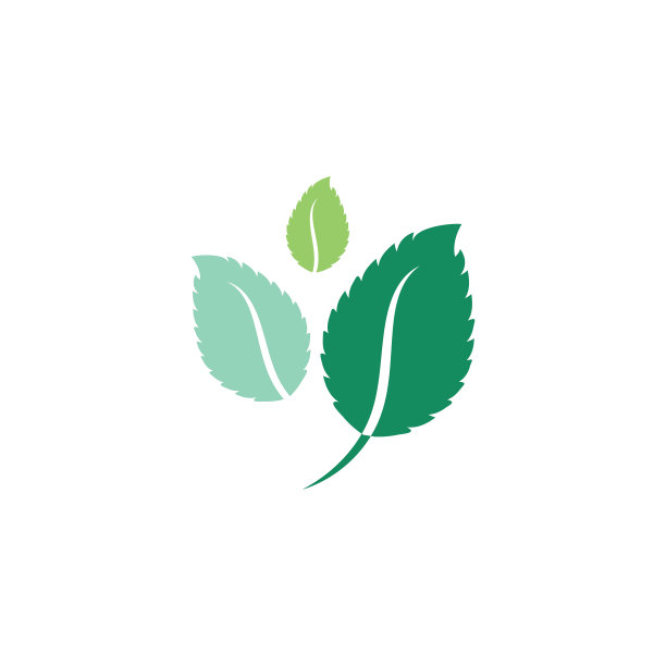 叶薄荷矢量图像图片下载
