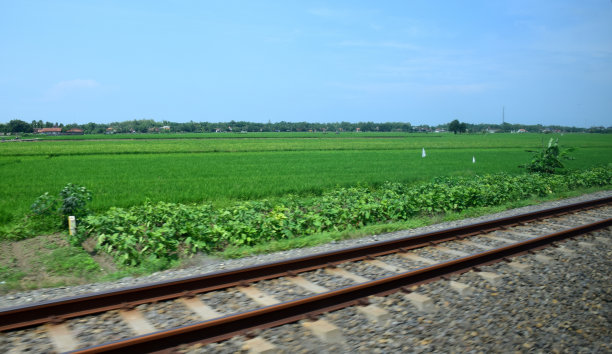 稻田里有铁轨图片下载