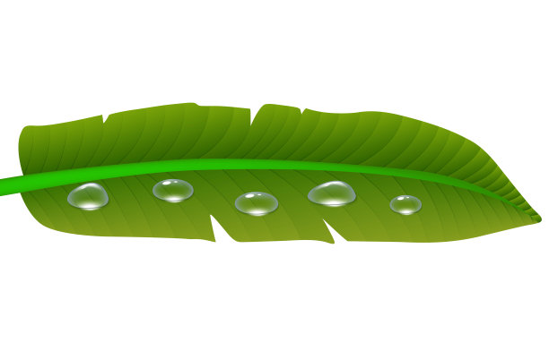 黑白房间图片下载