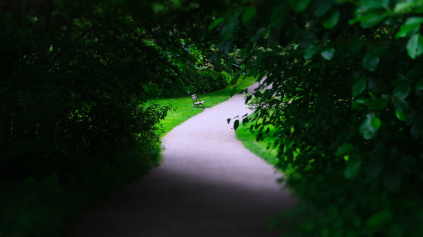 西雅图的公园长椅图片下载