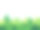 插图美丽的森林景观与树木，灌木和植物在阴天图片下载