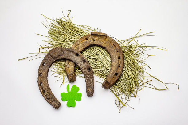 铸铁金属马蹄铁孤立在白色背景上。好运的象征，圣帕特里克节的概念，马配件图片下载