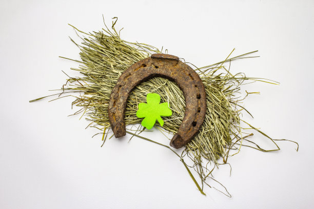 铸铁金属马蹄铁孤立在白色背景上。好运的象征，圣帕特里克节的概念，马配件图片下载