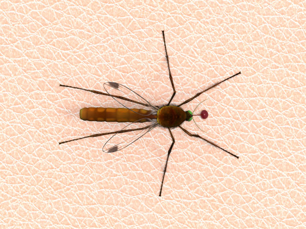 背景3 d渲染图片下载