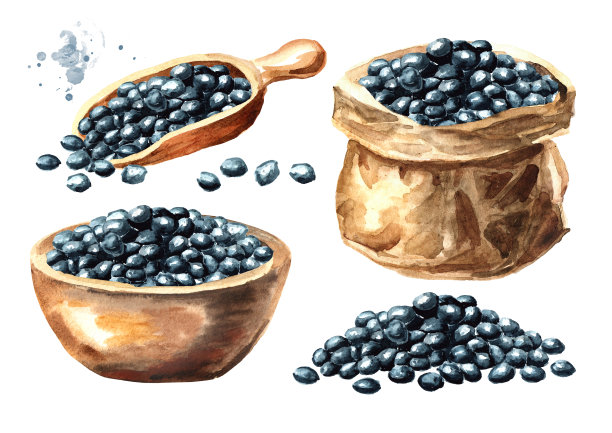 黑扁豆白鲸集。手绘水彩插图孤立的白色背景图片下载