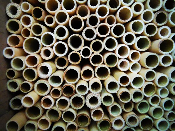 环保竹制饮用吸管图片下载