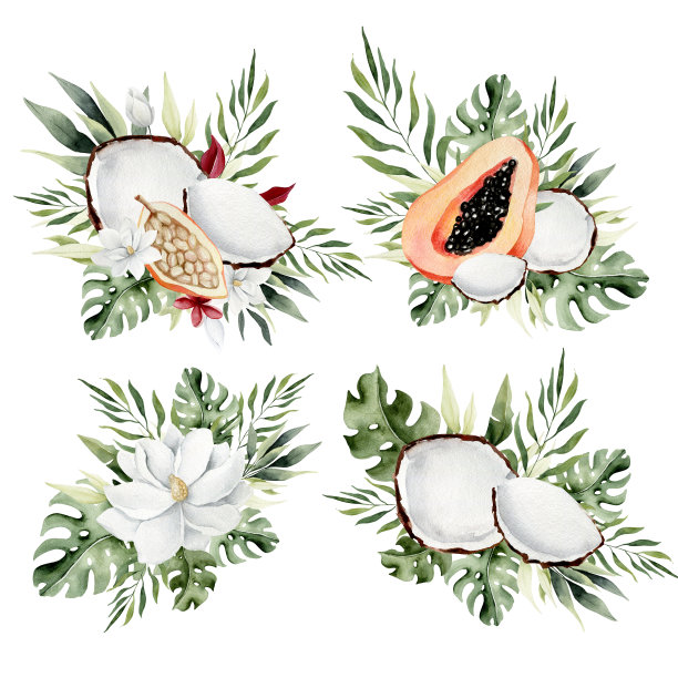 热带水彩花束与木兰和椰子图片下载