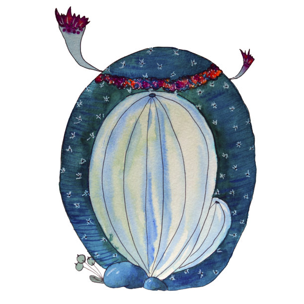 O型字母以仙人掌的形式以蓝色表示，绿色生态英文字母插图以白色为背景图片下载