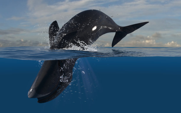 弓头鲸跳跃和反向潜水，而头部是水下潜水在深海3d渲染图片下载