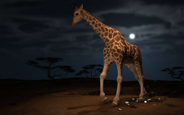 成年长颈鹿在夜晚与月光3d渲染奔跑图片下载