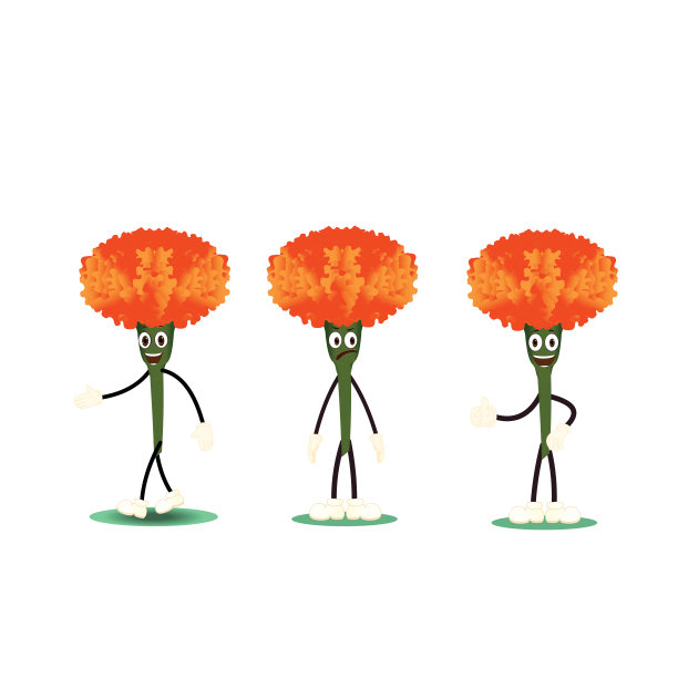 橙色万寿菊与表达图片下载