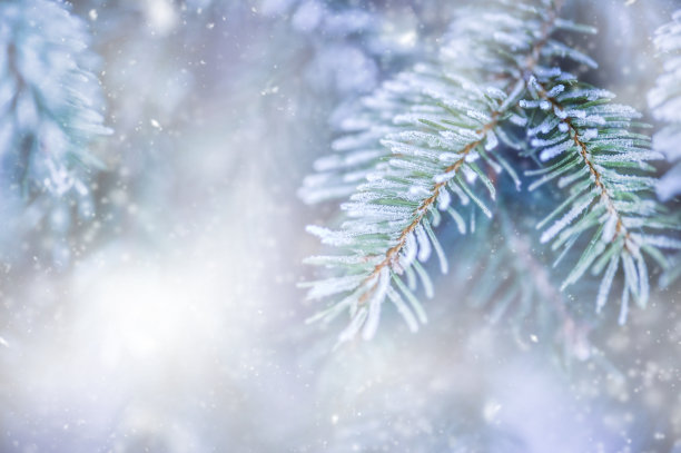 立冬照片素材ID：352692762