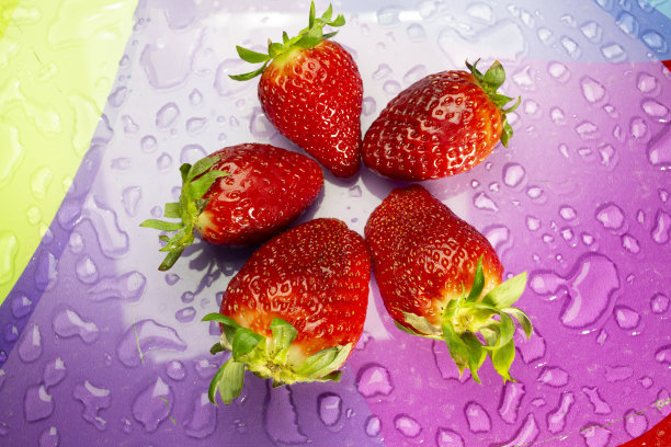 新鲜的草莓在彩色的背景与水滴图片下载