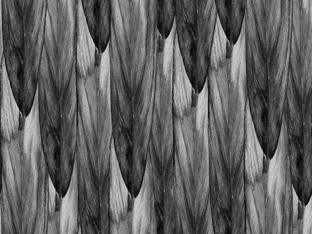 水彩无缝模式。图片下载