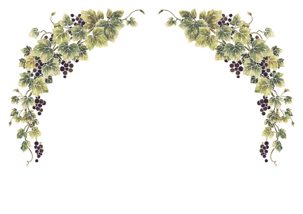 葡萄说明框架图片下载