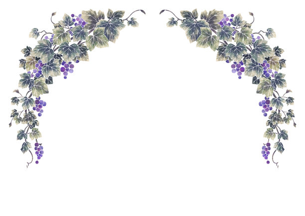 葡萄说明框架图片下载