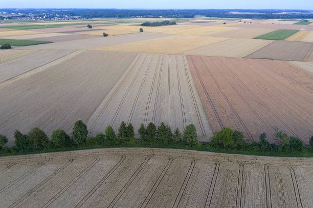农业景观在黄昏，鸟瞰图图片下载
