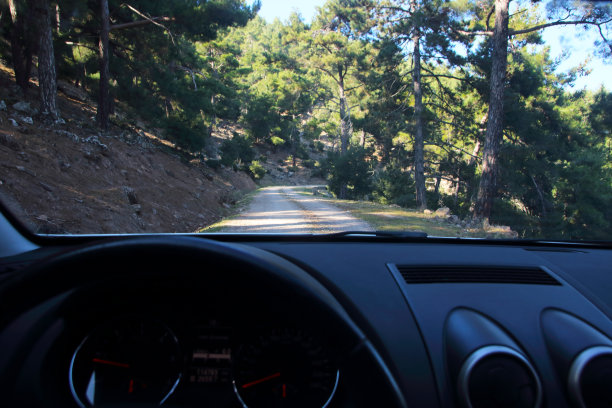 在森林里开车的人图片下载