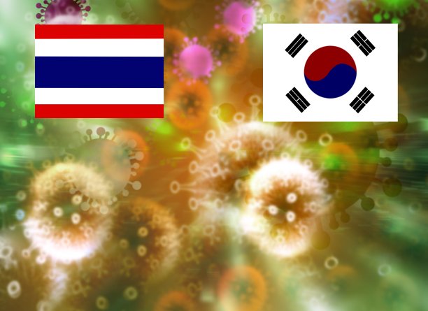 描绘2019冠状病毒病(COVID-19)、人类危险病毒、泰国和韩国国旗的概念形状图片下载