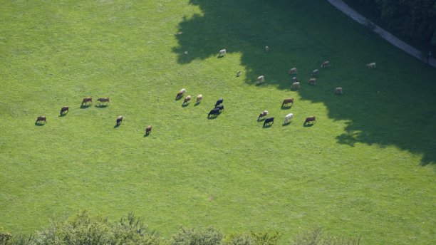 巴德·乌拉赫图片下载