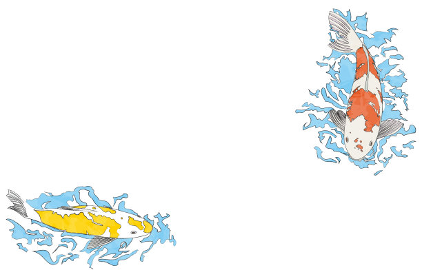 鲤鱼游泳的插图:没有背景，有线条图片下载