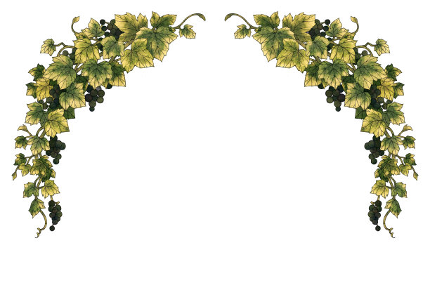 葡萄说明框架图片下载