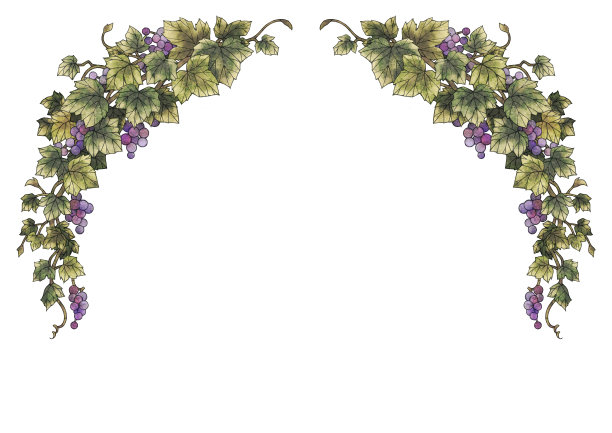 葡萄说明框架图片下载