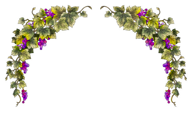 葡萄说明框架图片下载