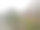 透明的玻璃上有雾和水滴在冬天，上面有冰冷的手写字母。特写自然美效果。背景和壁纸的概念。图片下载